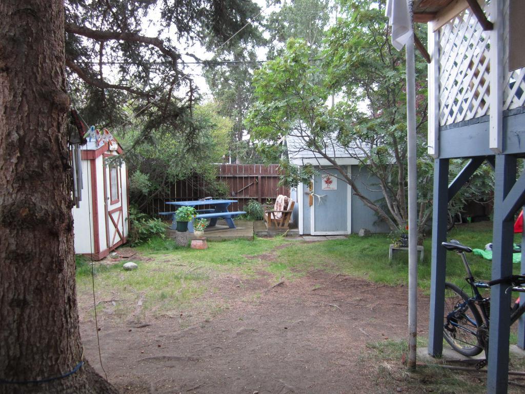 Auberge de jeunesse Beez Kneez Bakpakers à Whitehorse Extérieur photo